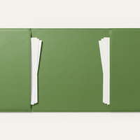 ecomposer-renk-green-ray