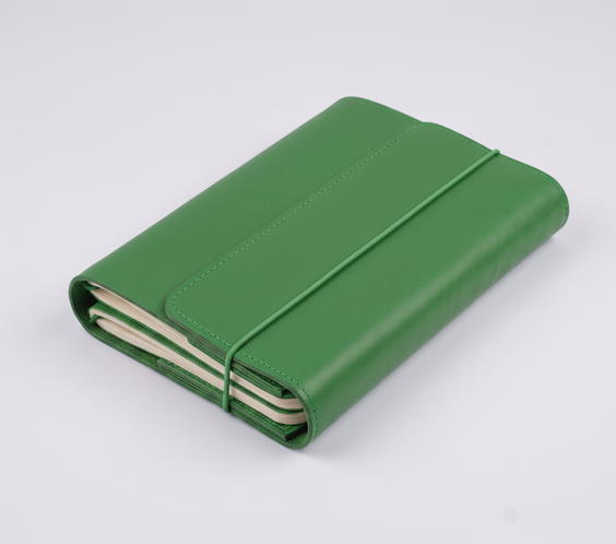 ecomposer-renk-green-ray